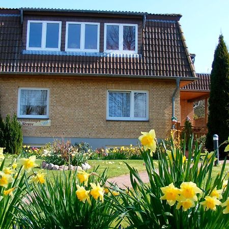 Ferienwohnung Struve Nr 2 Petersdorf auf Fehmarn Εξωτερικό φωτογραφία
